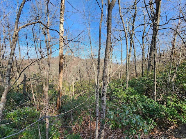 LOT22 Sunset Ridge Dr, Columbus, NC 28722 - photo 3