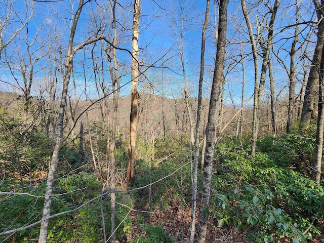 LOT22 Sunset Ridge Dr, Columbus, NC 28722 - photo 4