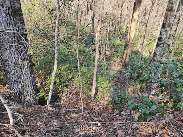 LOT22 Sunset Ridge Dr, Columbus, NC 28722 - photo 5