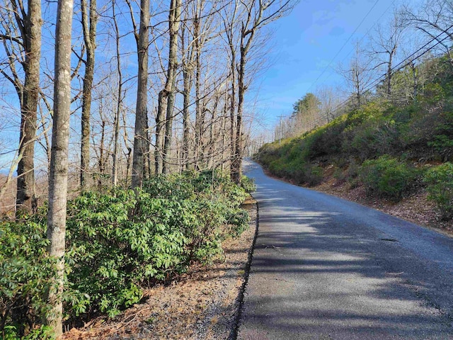 LOT22 Sunset Ridge Dr, Columbus, NC 28722 - photo 6