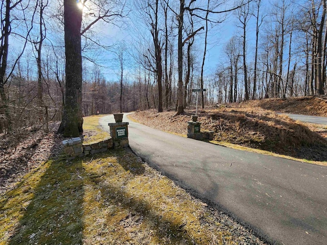 LOT22 Sunset Ridge Dr, Columbus, NC 28722 - photo 7