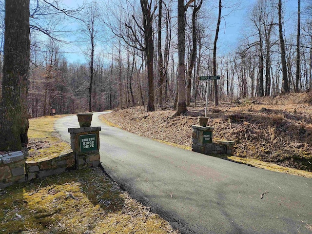 LOT22 Sunset Ridge Dr, Columbus, NC 28722 - photo 8
