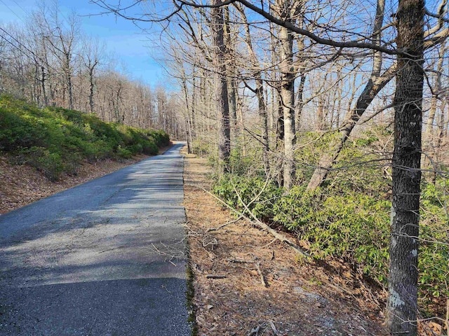 LOT22 Sunset Ridge Dr, Columbus, NC 28722 - photo 9