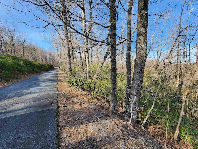 LOT22 Sunset Ridge Dr, Columbus, NC 28722 - photo 10