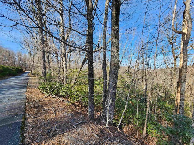 LOT22 Sunset Ridge Dr, Columbus, NC 28722 - photo 11