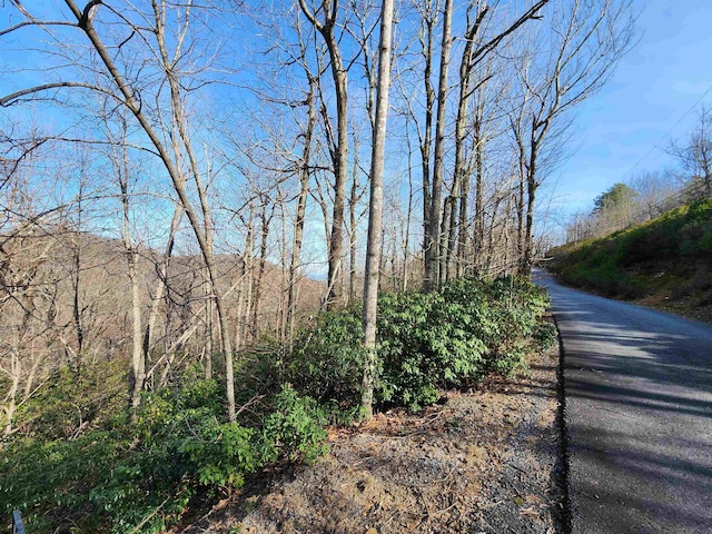LOT22 Sunset Ridge Dr, Columbus, NC 28722 - photo 12