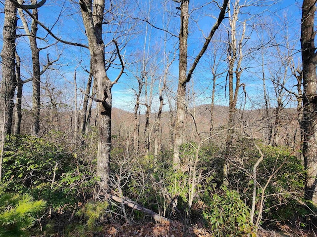 LOT22 Sunset Ridge Dr, Columbus, NC 28722 - photo 13