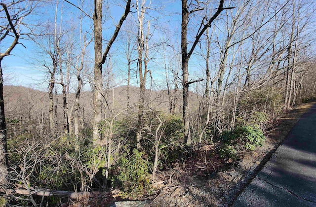 LOT22 Sunset Ridge Dr, Columbus, NC 28722 - photo 15