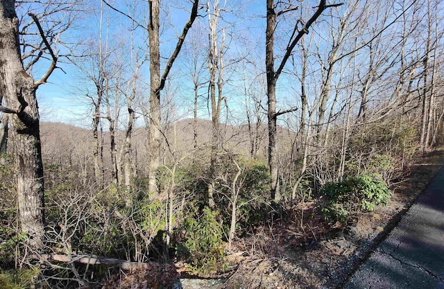 LOT22 Sunset Ridge Dr, Columbus, NC 28722 - photo 16