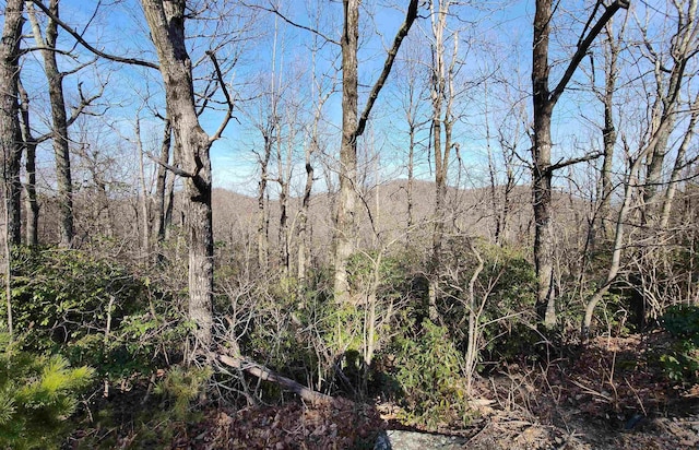 LOT22 Sunset Ridge Dr, Columbus, NC 28722 - photo 17