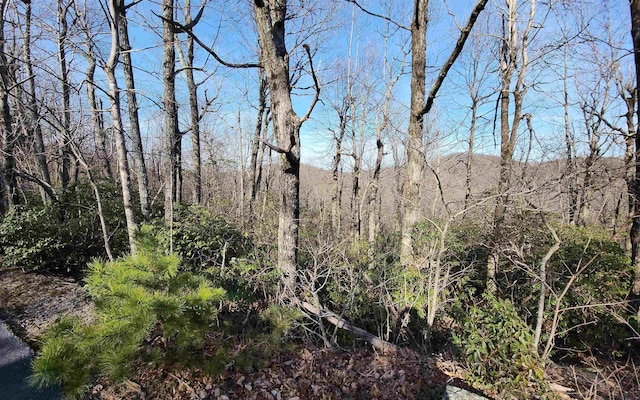 LOT22 Sunset Ridge Dr, Columbus, NC 28722 - photo 18
