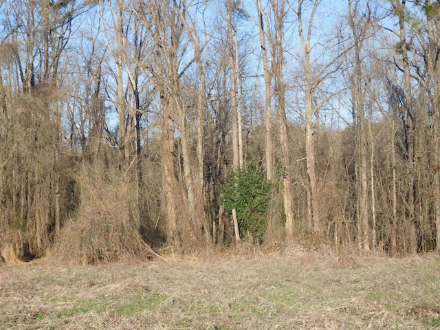 0 Stuard St, Gaffney, SC 29340 - photo 5