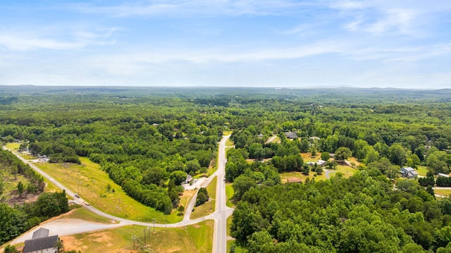000 W Rutherford St, Landrum, SC 29356 - photo 4