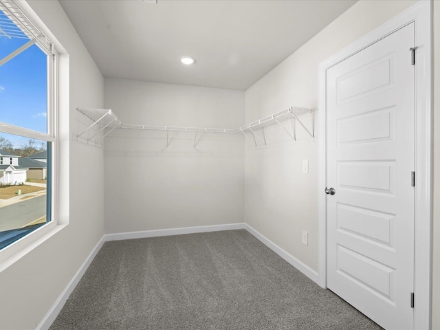 119 Martel Dr, Spartanburg, SC 29301 - walk in closet with carpet flooring