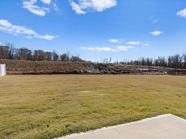 119 Martel Dr, Spartanburg, SC 29301 - view of green lawn
