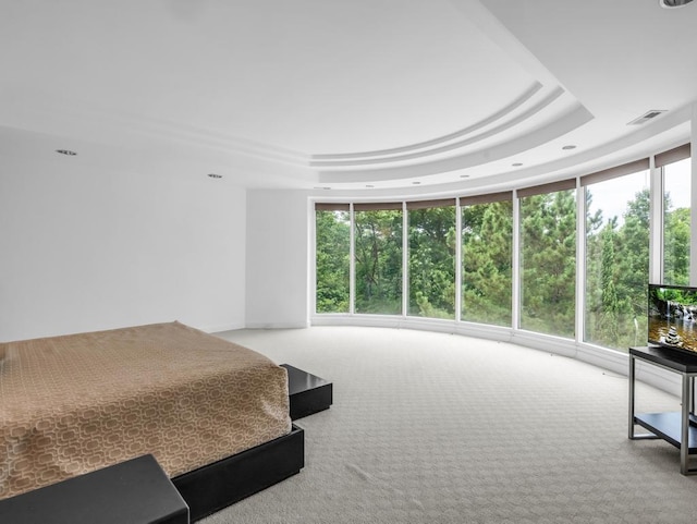 110 W King Ridge St, Gaffney, SC 29341 - bedroom featuring carpet floors, a raised ceiling, and recessed lighting