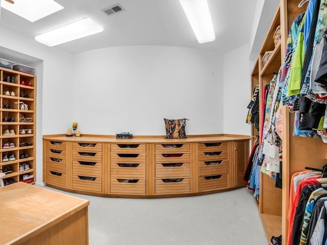 110 W King Ridge St, Gaffney, SC 29341 - spacious closet with light carpet and a skylight