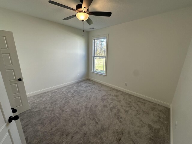 1093 Caldwell Rd, Campobello, SC 29322 - photo 12