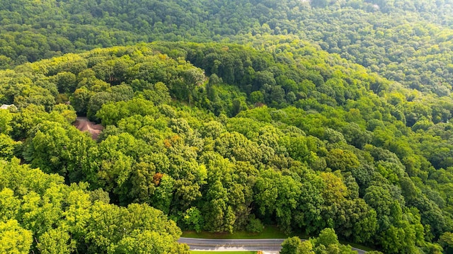 0 Plumley Summit Rd, Landrum, SC 29356