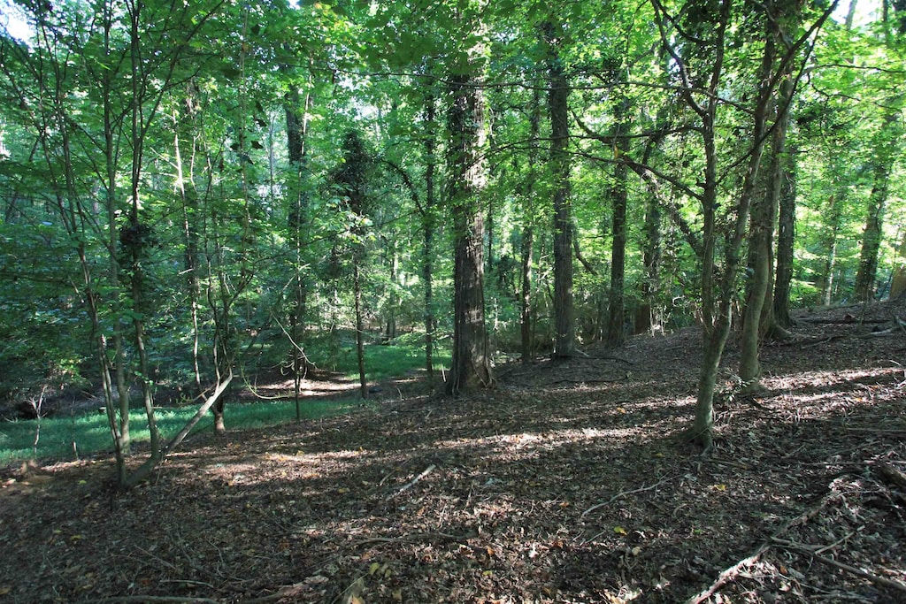 3LOTS Maple Ct, Woodruff, SC 29388