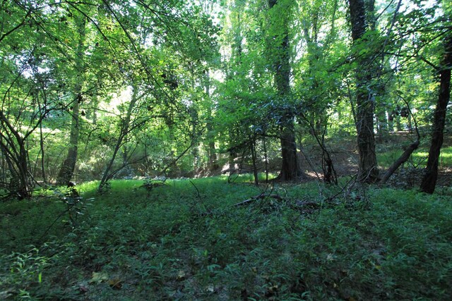 E Hayne St, Woodruff, SC 29388 - photo 3