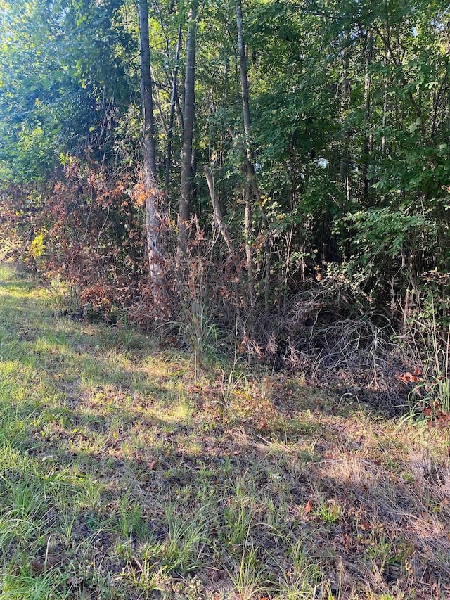 0 Frontier Rd, Enoree, SC 29335 - photo 2