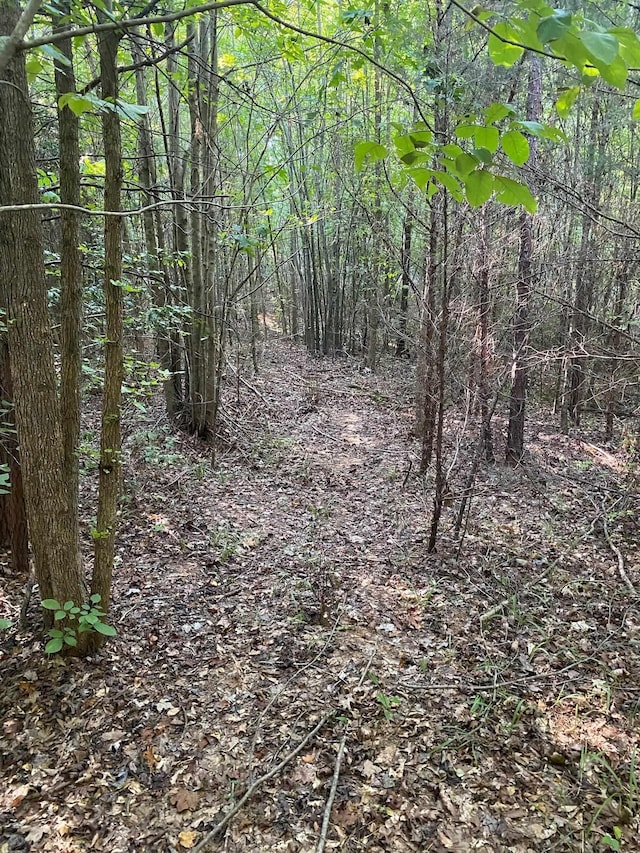 0 Frontier Rd, Enoree, SC 29335 - photo 4