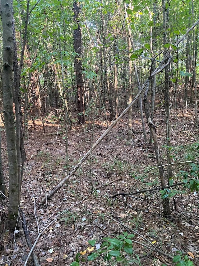 0 Frontier Rd, Enoree, SC 29335 - photo 6