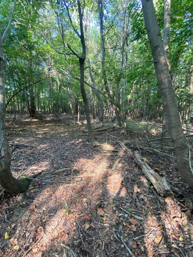 0 Frontier Rd, Enoree, SC 29335 - photo 7