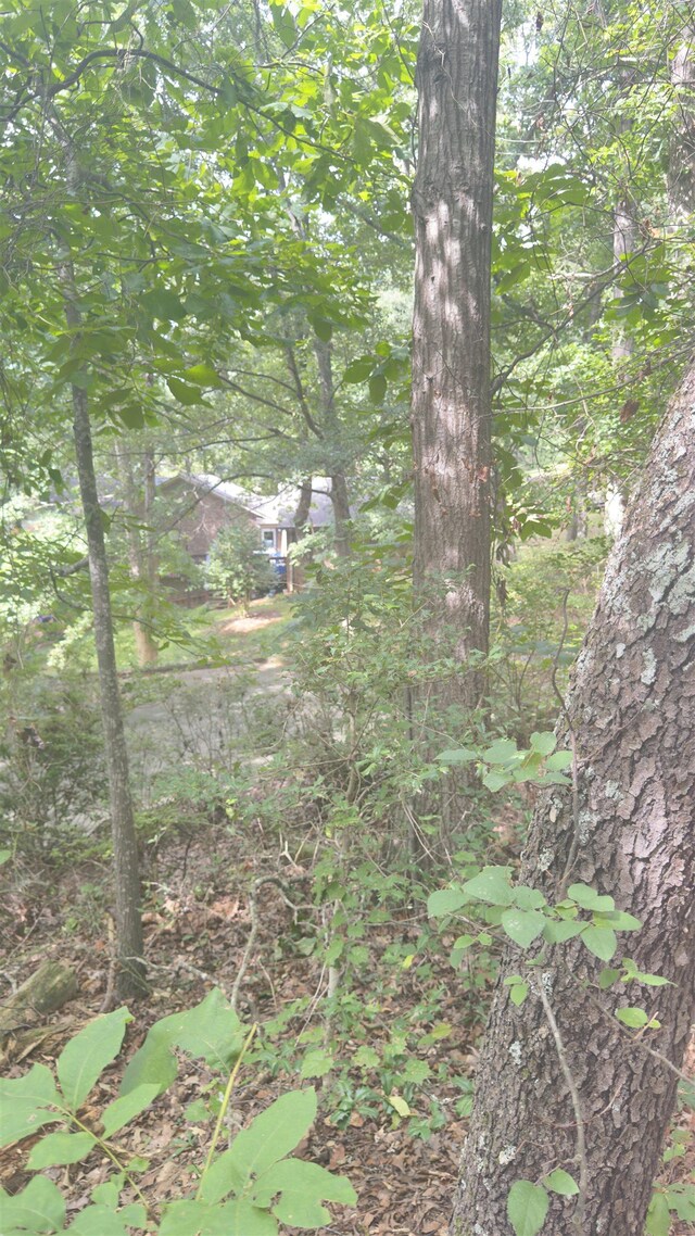 162 Stoneridge Dr, Chesnee, SC 29323 - photo 12
