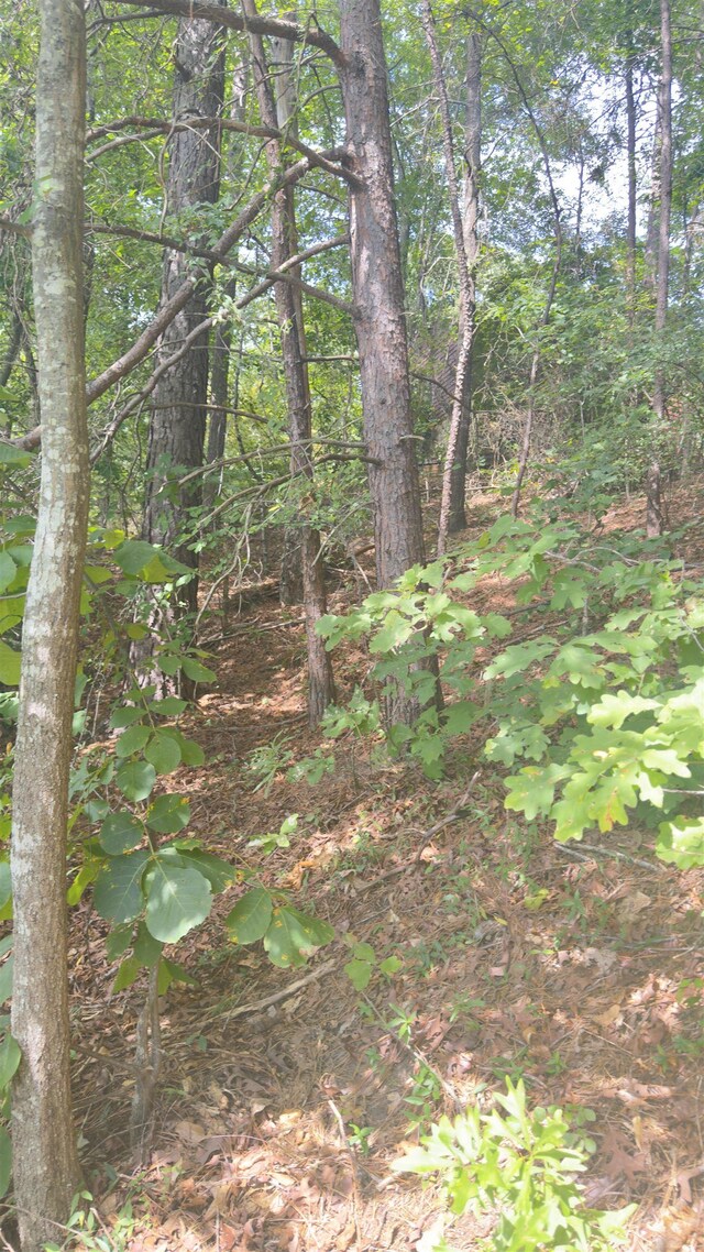 162 Stoneridge Dr, Chesnee, SC 29323 - photo 17