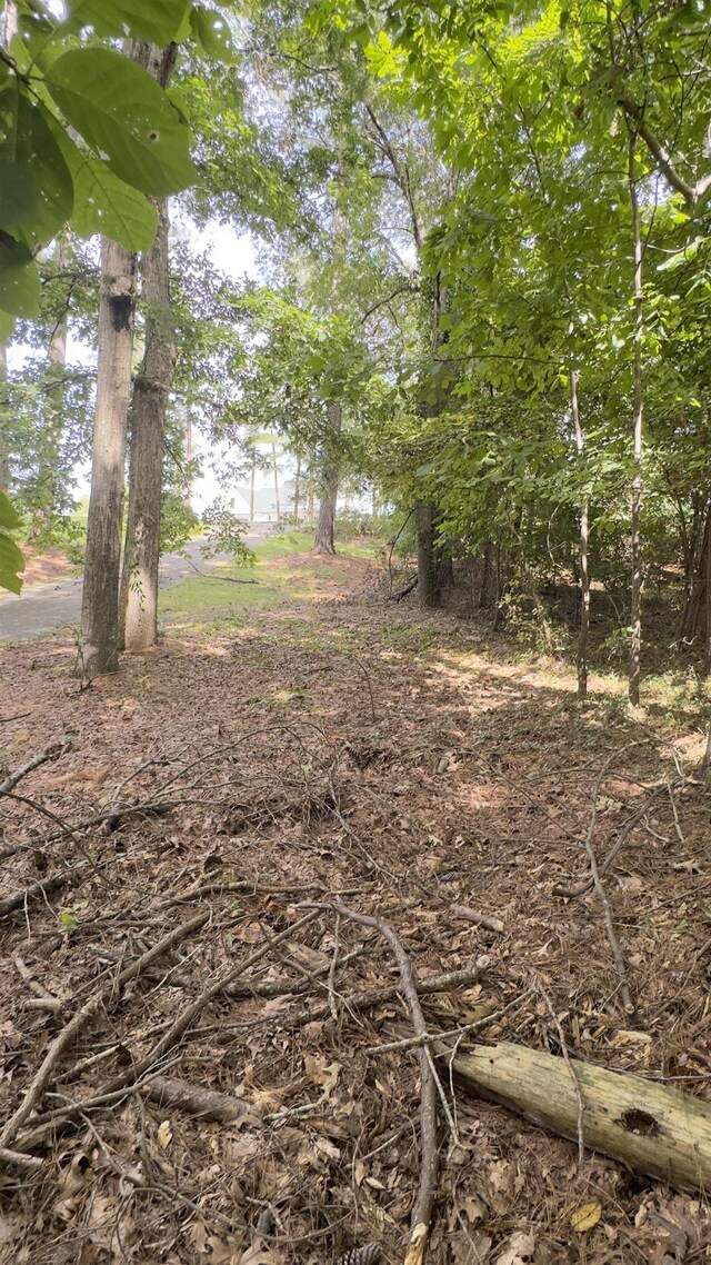 162 Stoneridge Dr, Chesnee, SC 29323 - photo 22