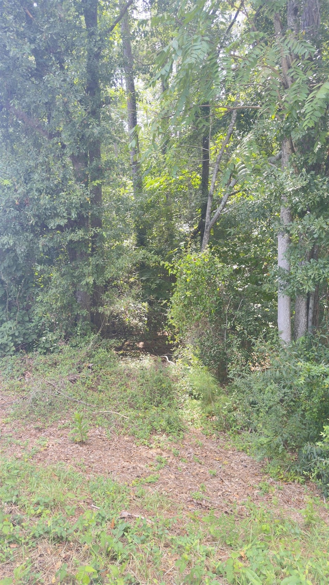 162 Stoneridge Dr, Chesnee, SC 29323 - photo 24