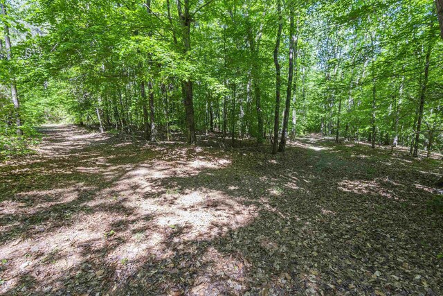 0 Leesville Church Rd, Clinton, SC 29325 - photo 11