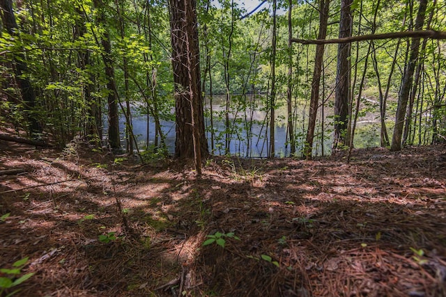 0 Leesville Church Rd, Clinton, SC 29325 - photo 1
