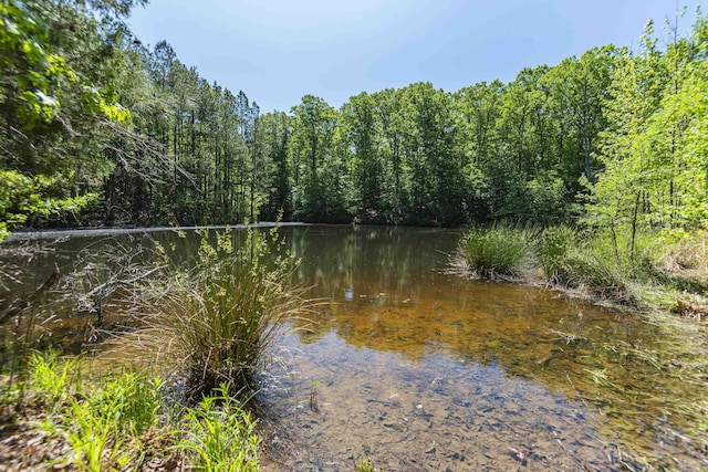 0 Leesville Church Rd, Clinton, SC 29325 - photo 12