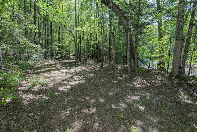 0 Leesville Church Rd, Clinton, SC 29325 - photo 14
