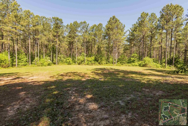 0 Leesville Church Rd, Clinton, SC 29325 - photo 15