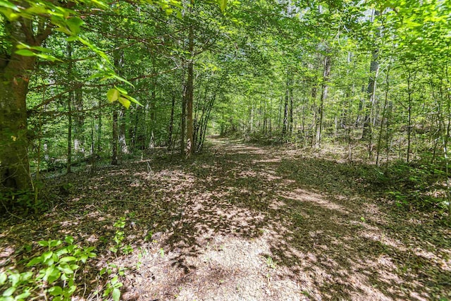 0 Leesville Church Rd, Clinton, SC 29325 - photo 17
