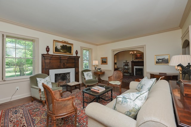 835 Jackson Grove Rd, Columbus, NC 28722 - living area with a fireplace, plenty of natural light, wood finished floors, and ornamental molding
