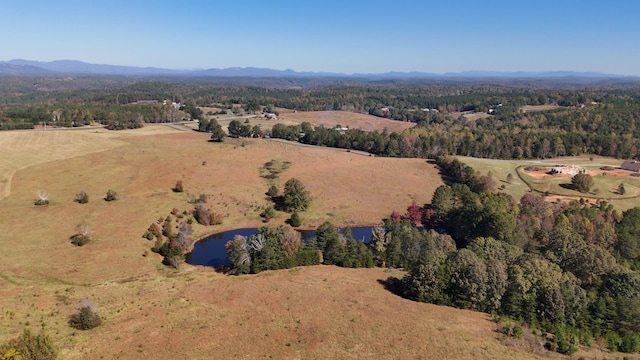 LOT20 Ar Thompson Rd, Mill Spring, NC 28756 - photo 4