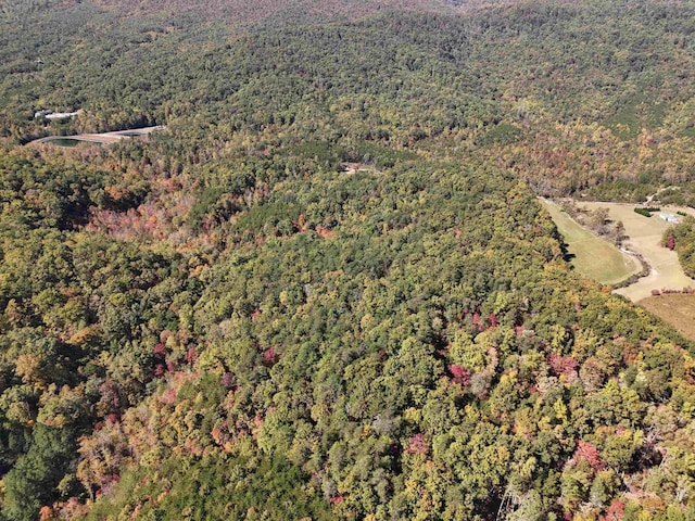 46.6ACRES Regan Jackson Rd, Mill Spring, NC 28756 - photo 3