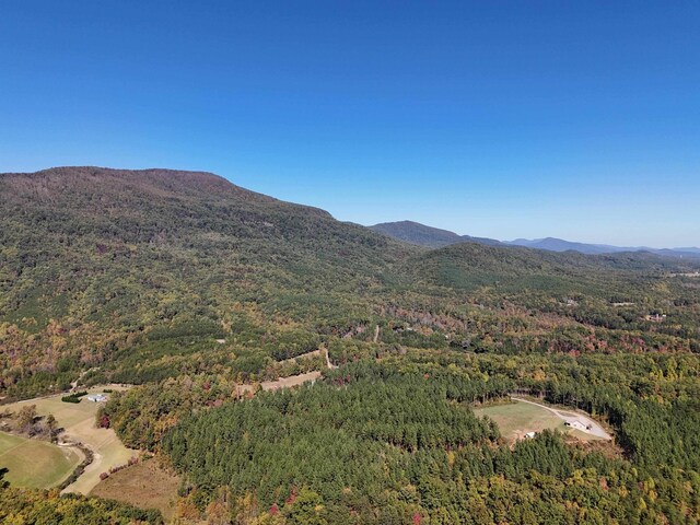 46.6ACRES Regan Jackson Rd, Mill Spring, NC 28756 - photo 4