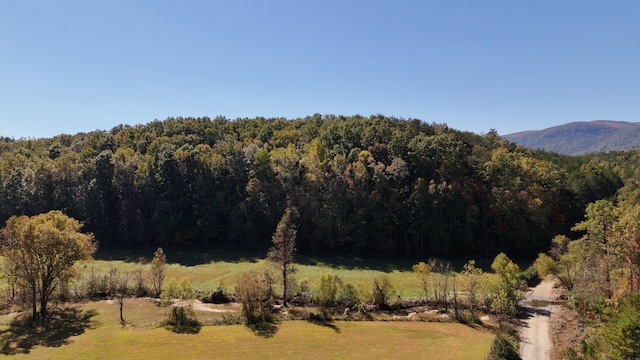 46.6ACRES Regan Jackson Rd, Mill Spring, NC 28756 - photo 5