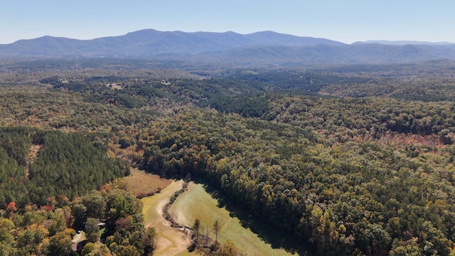 46.6ACRES Regan Jackson Rd, Mill Spring, NC 28756 - photo 6