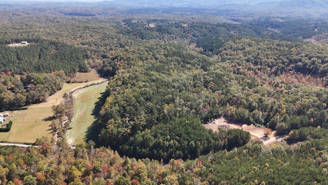 46.6ACRES Regan Jackson Rd, Mill Spring, NC 28756 - photo 7