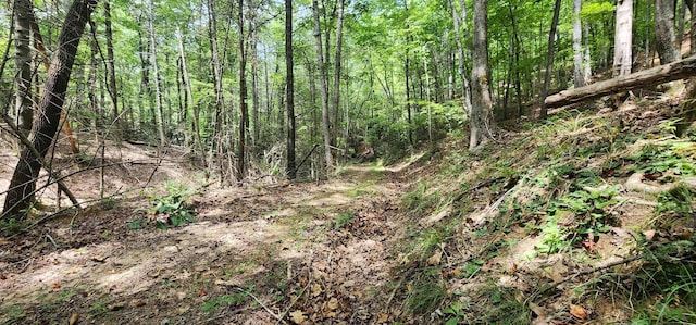 46.6ACRES Regan Jackson Rd, Mill Spring, NC 28756 - photo 11