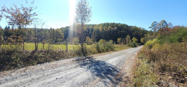46.6ACRES Regan Jackson Rd, Mill Spring, NC 28756 - photo 13
