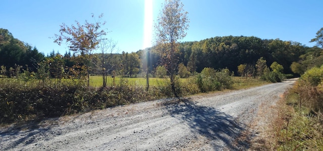 46.6ACRES Regan Jackson Rd, Mill Spring, NC 28756 - photo 14