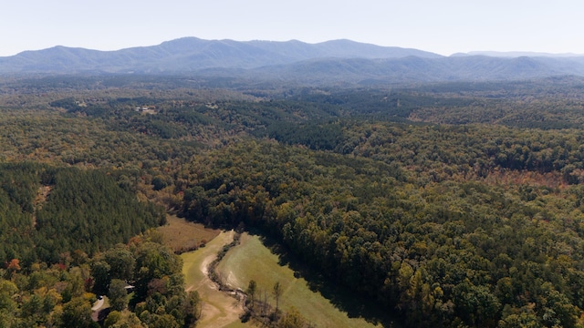 46.6ACRES Regan Jackson Rd, Mill Spring, NC 28756 - photo 16